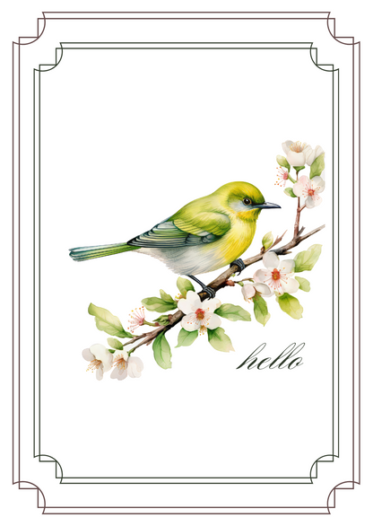 Greeting Card Set - Birds and Blossoms - 6 Pack | 4x6 with Envelopes