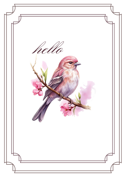 Greeting Card Set - Birds and Blossoms - 6 Pack | 4x6 with Envelopes