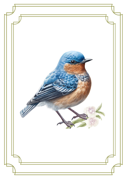 Greeting Card Set - Birds and Blossoms - 6 Pack | 4x6 with Envelopes