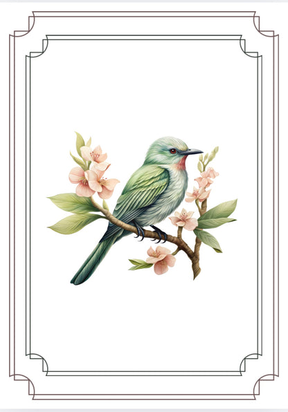 Greeting Card Set - Birds and Blossoms - 6 Pack | 4x6 with Envelopes